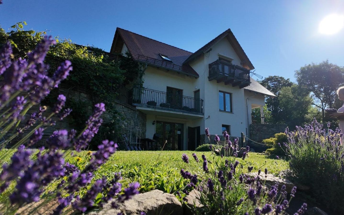 Strefa Ciszy -Lawenda Apartment Świeradów-Zdrój Екстериор снимка