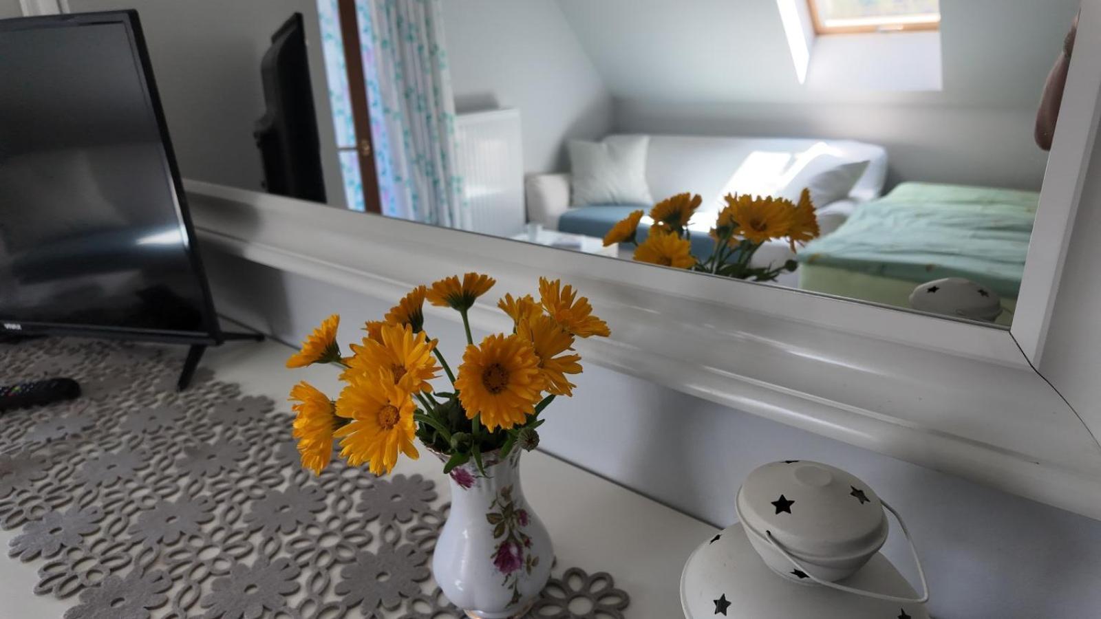 Strefa Ciszy -Lawenda Apartment Świeradów-Zdrój Екстериор снимка